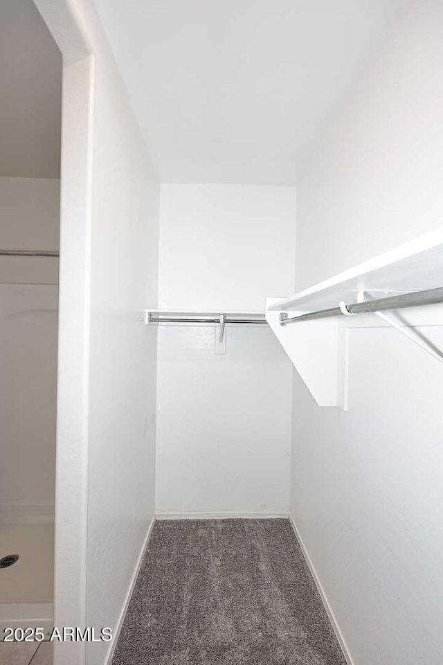 29932 N Paloverde Dr, Florence, AZ 85132 - walk in closet with carpet floors
