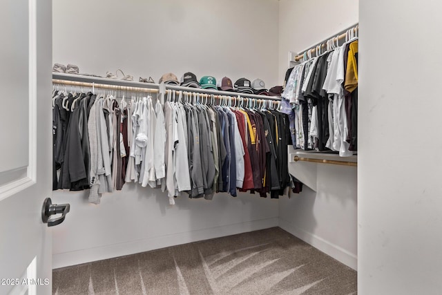 3031 S Valerie Dr, Chandler, AZ 85286 - spacious closet featuring carpet flooring