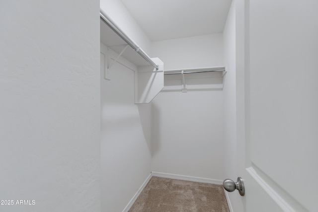 spacious closet featuring light colored carpet