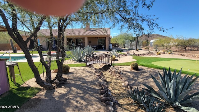 view of yard featuring a patio