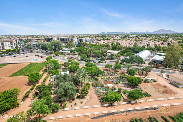 1316 S Minneola Ln, Gilbert, AZ 85296 - aerial view of a mountainous background