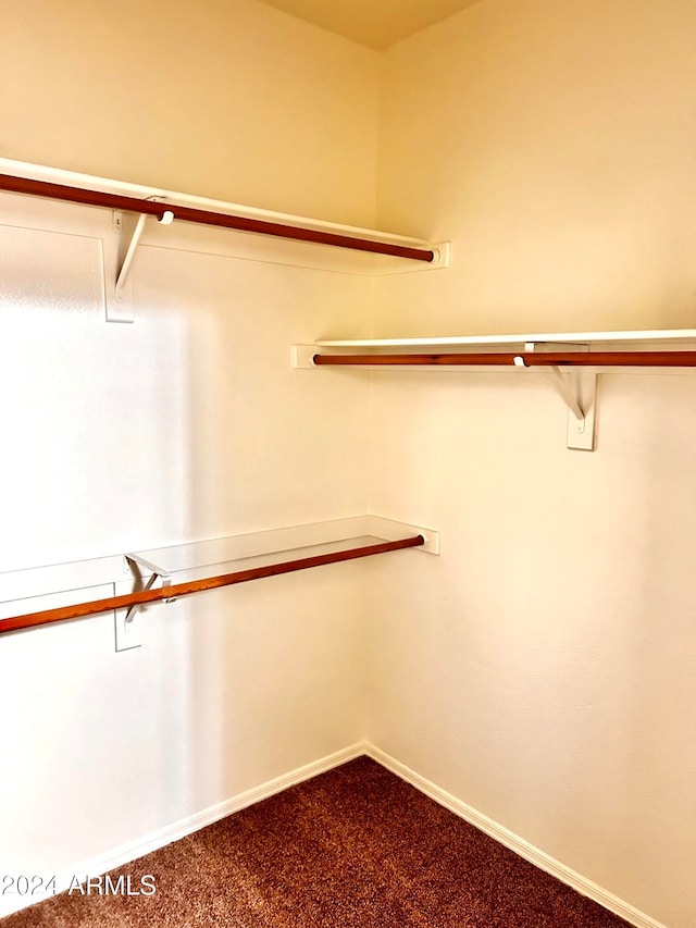 spacious closet featuring carpet floors