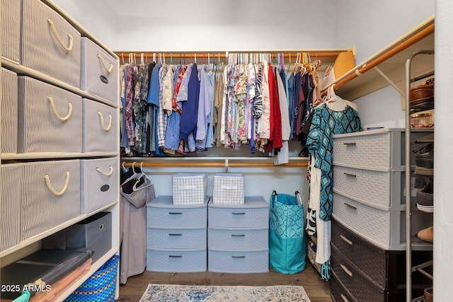 spacious closet featuring dark hardwood / wood-style floors