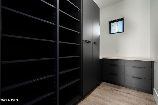 spacious closet with light wood-type flooring