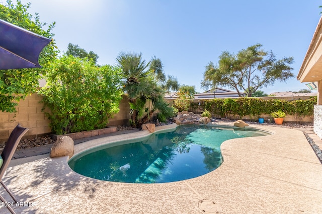 view of swimming pool featuring a patio area