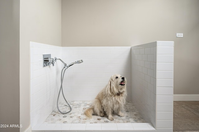 room details featuring tiled shower