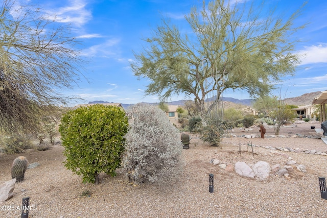 view of yard with a mountain view