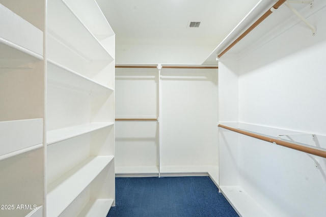 spacious closet with carpet