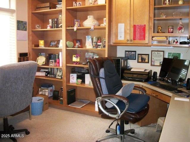 office area featuring carpet floors