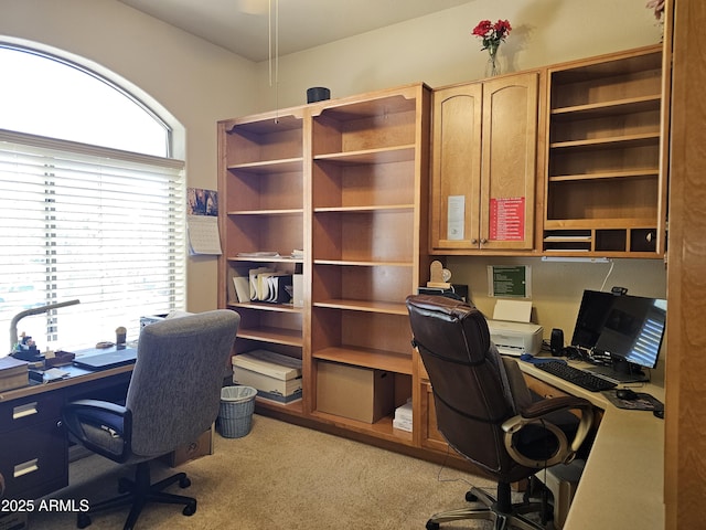 home office with light carpet