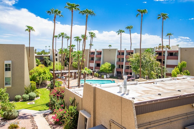 view of swimming pool