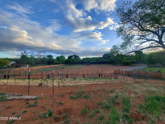 view of yard featuring a rural view