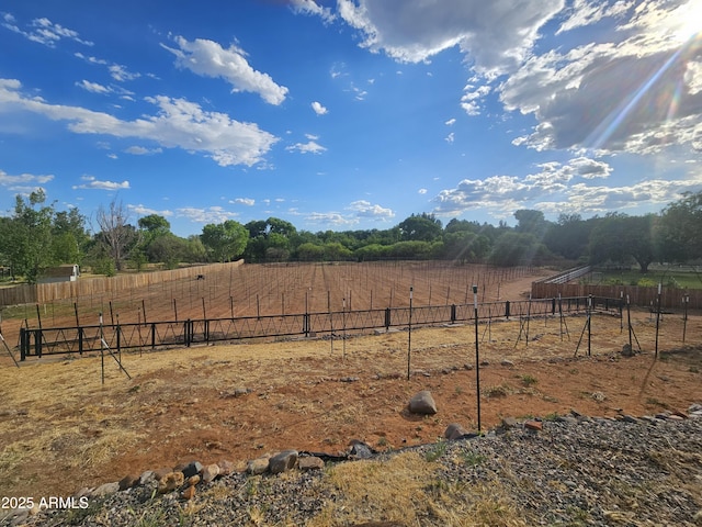 view of yard featuring a rural view