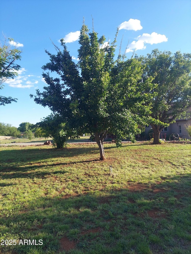 view of yard with a rural view