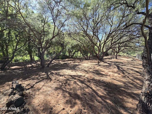 view of local wilderness