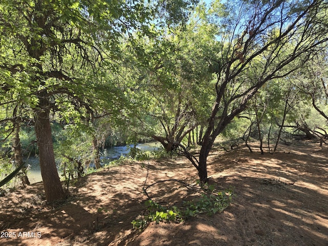 view of landscape featuring a water view