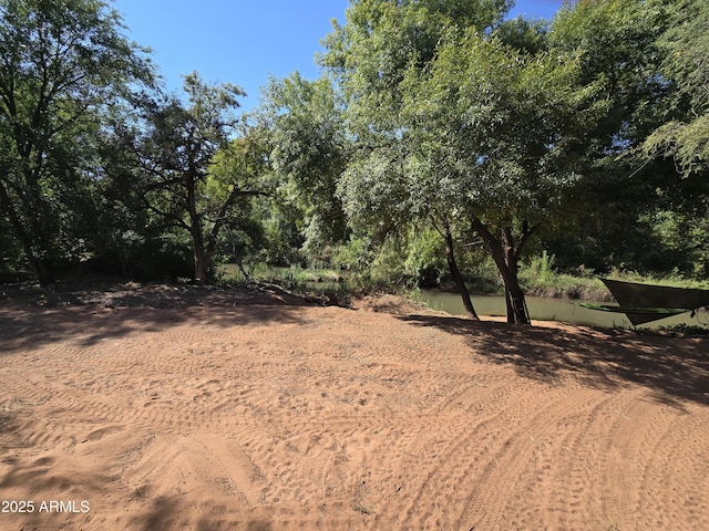 view of local wilderness