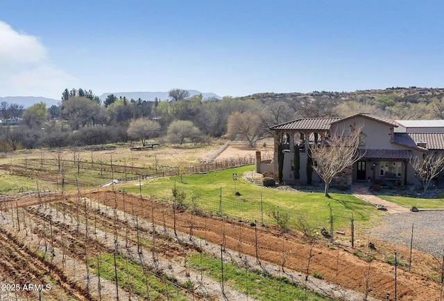 view of yard featuring a rural view