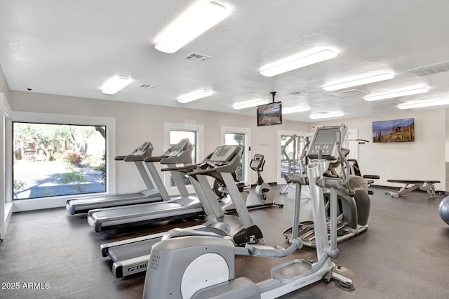 8787 E Mountain View Rd Unit 2100, Scottsdale, AZ 85258 - gym with healthy amount of natural light