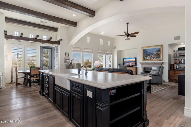 kitchen featuring a sink, light wood-style flooring, light countertops, and dark cabinetry