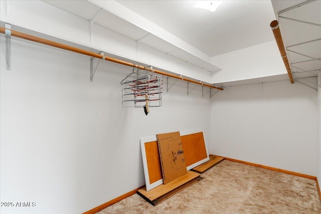 spacious closet with light colored carpet