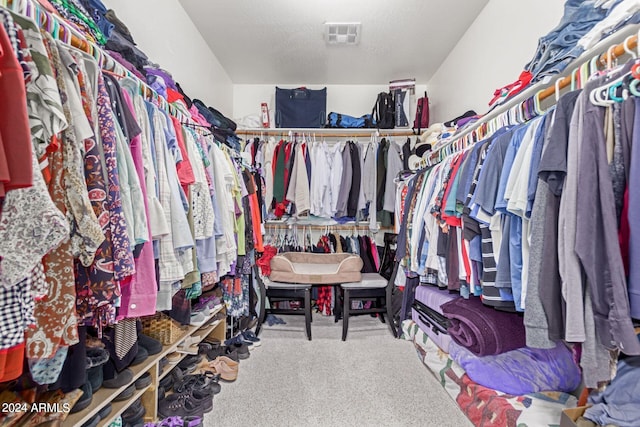 walk in closet featuring carpet