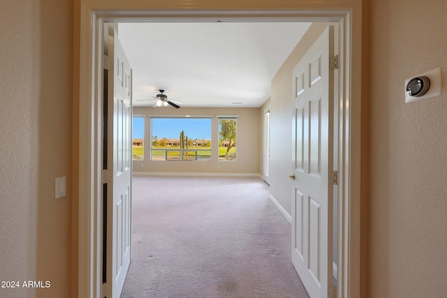 hallway with light carpet