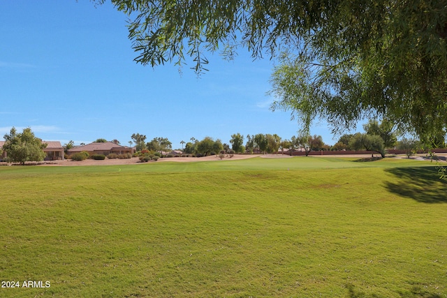 view of home's community with a yard