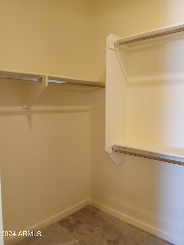 walk in closet with carpet flooring