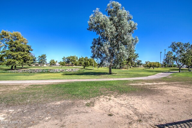 view of property's community featuring a yard