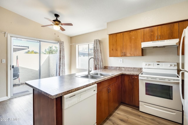 kitchen featuring kitchen peninsula, light hardwood / wood-style floors, sink, white appliances, and ceiling fan