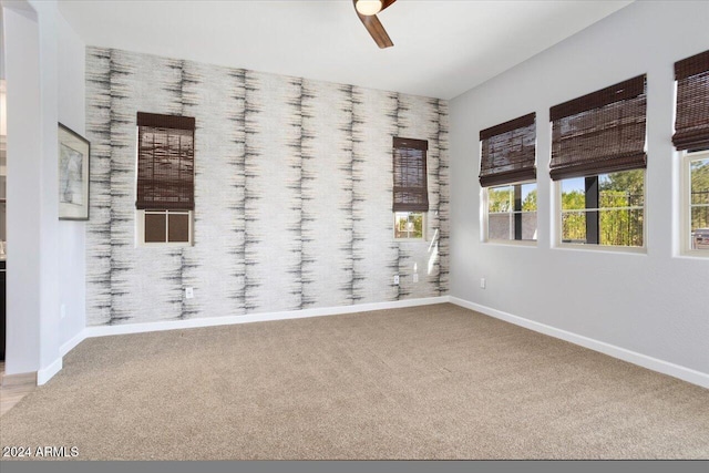 spare room featuring ceiling fan and carpet floors