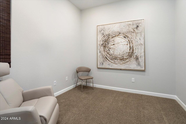 sitting room featuring carpet floors