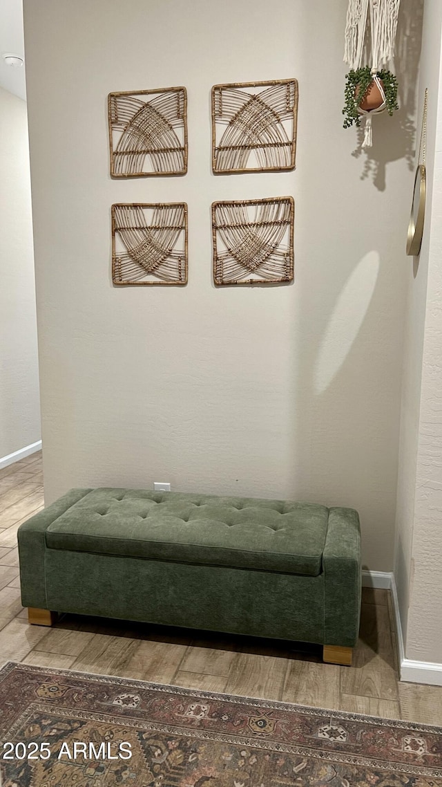 interior details with baseboards and wood finished floors