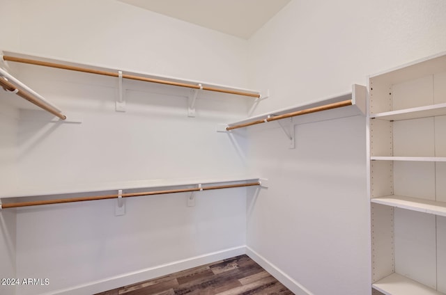 walk in closet featuring dark wood-type flooring