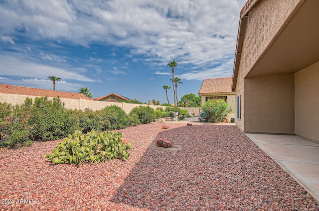 view of yard with a patio area