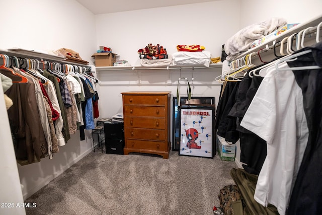 walk in closet featuring carpet