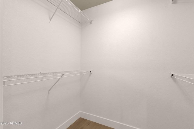 walk in closet with wood finished floors