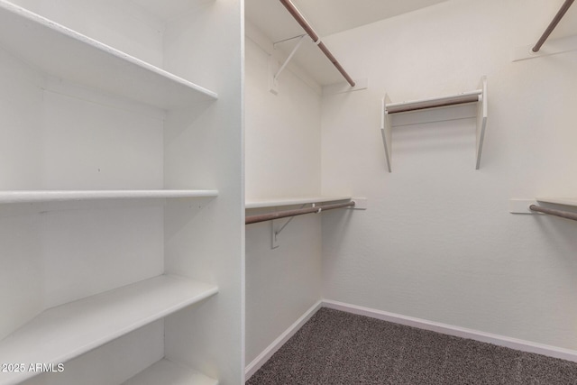walk in closet with carpet floors