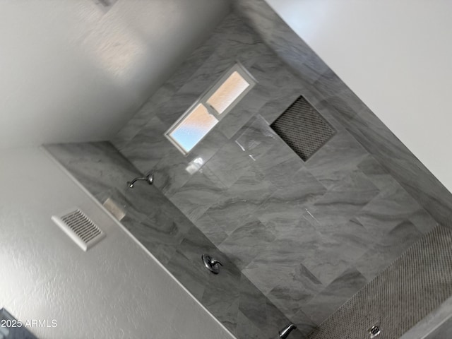 details featuring walk in shower and visible vents