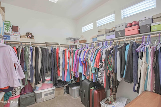 spacious closet featuring carpet floors