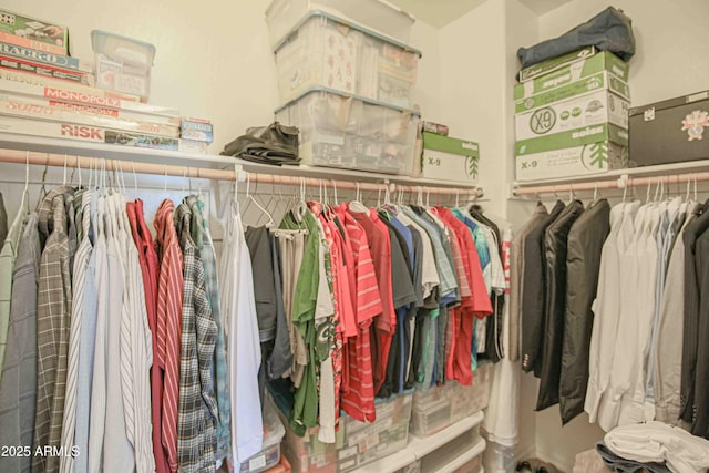 view of spacious closet