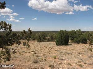 1527-1535 Chevelon Avenue 002 & 001B, Heber, AZ 85928