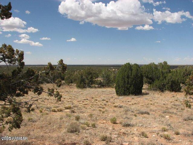 1527-1535 Chevelon Avenue 002 & 001B, Heber, AZ 85928