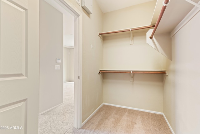 spacious closet with carpet floors