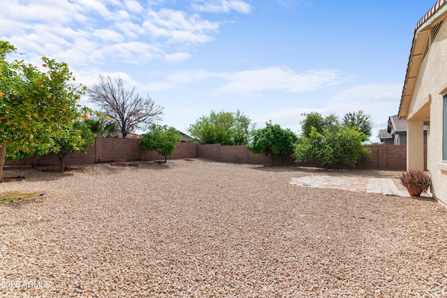 view of yard featuring a patio area and a fenced backyard