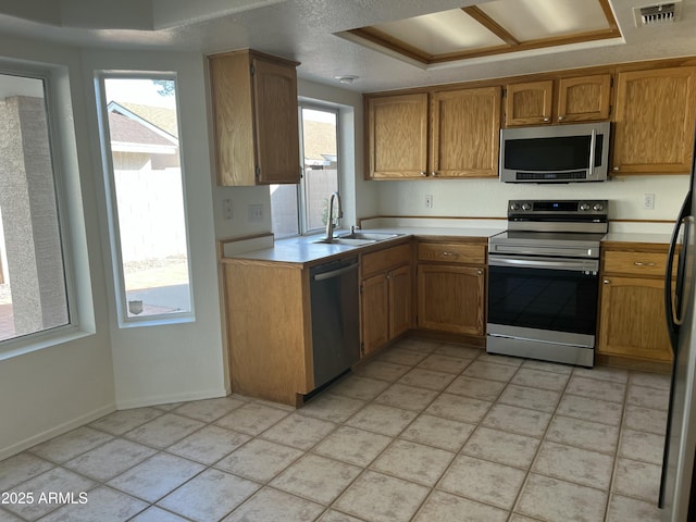 kitchen with a raised ceiling, sink, and appliances with stainless steel finishes