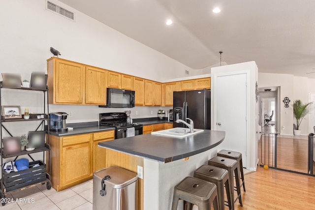 kitchen featuring sink, light hardwood / wood-style floors, an island with sink, and black appliances