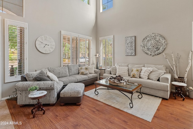 living room with hardwood / wood-style flooring and a high ceiling