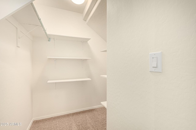 spacious closet featuring carpet flooring